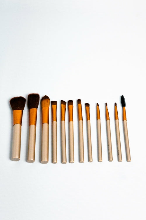 Makeup Brush Set